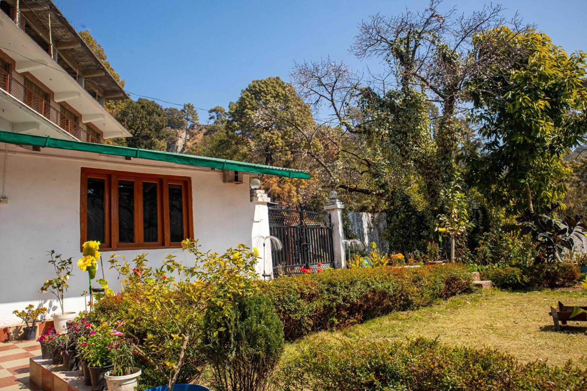 Nature's Vibe Near Kainchi Dham Nainital