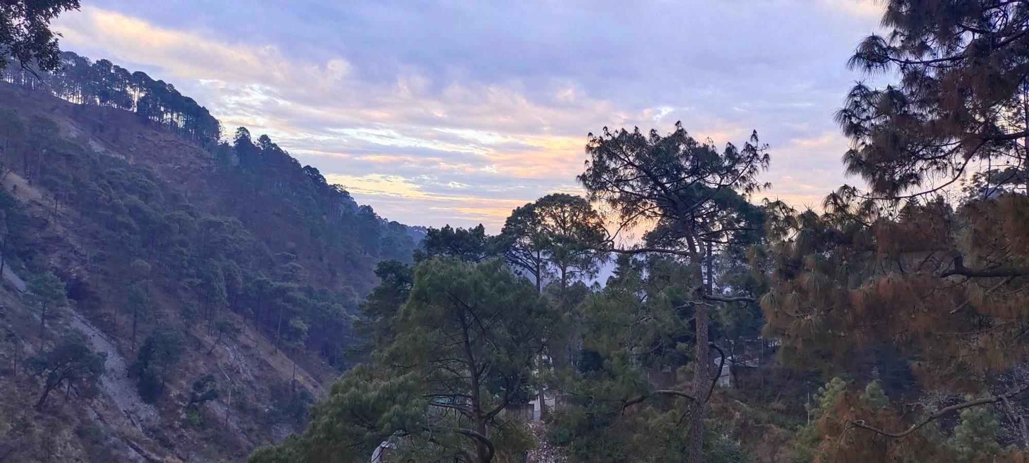 Nature's Vibe Near Kainchi Dham *
