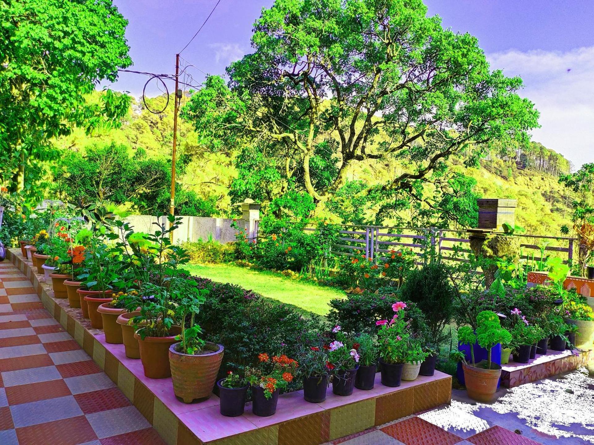 Nature's Vibe Near Kainchi Dham Holiday home