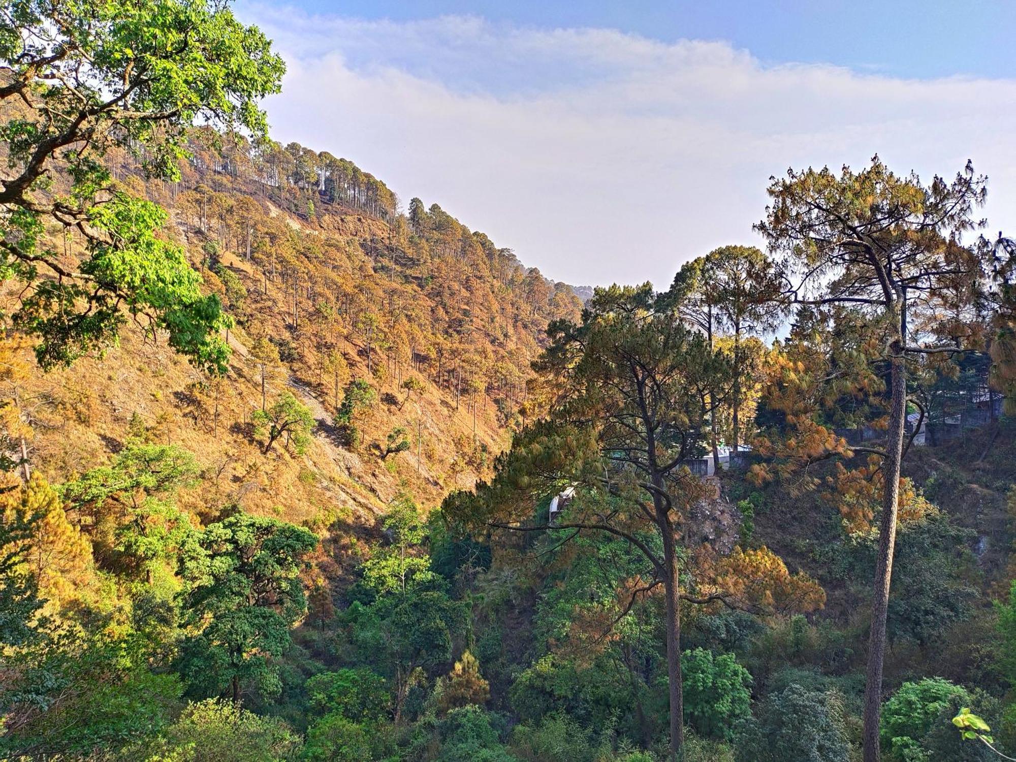 Holiday home Nature's Vibe Near Kainchi Dham *